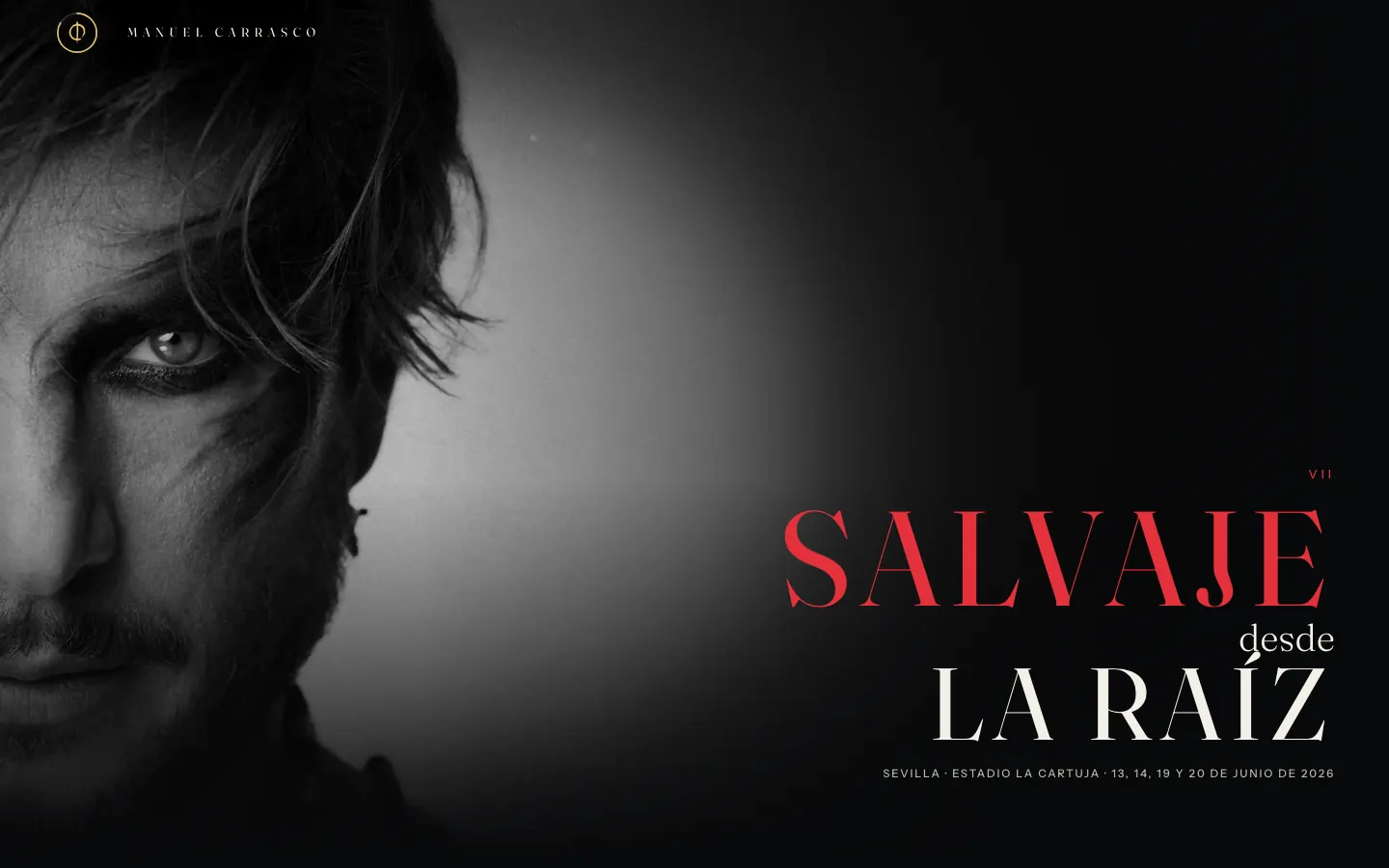 Redesign of Manuel Carrasco's official website